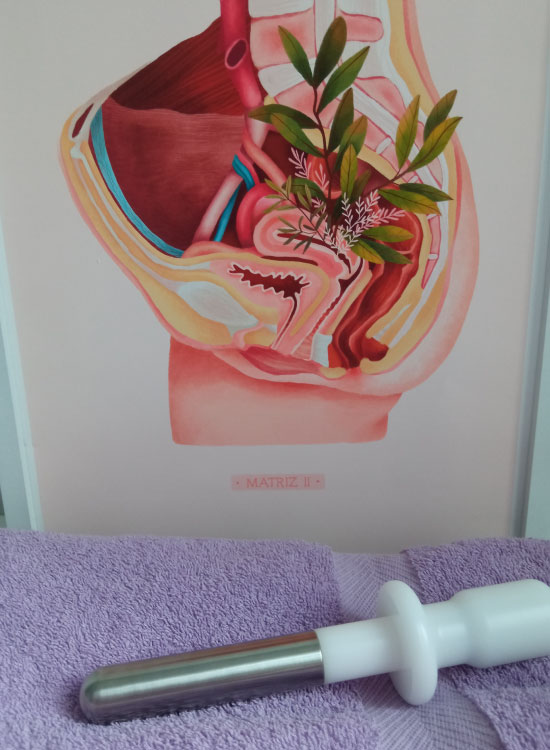 unidad suelo pélvico vitoria-gasteiz salburua fisiona radiofrecuencia